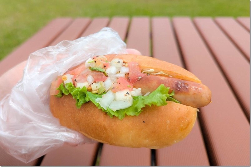 ウインナードッグ300円｜佐賀 Bakery Aquaのパンを実食レビュー