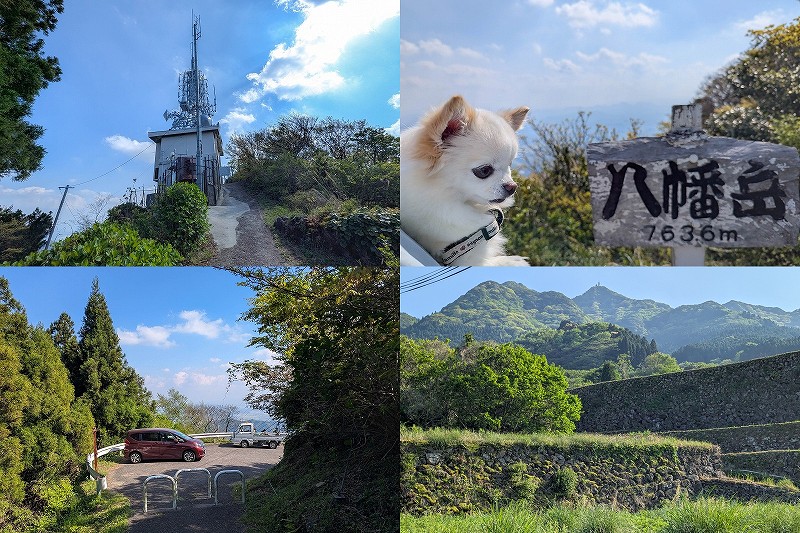 【2026年】車で八幡岳展望所と山頂へ｜犬連れでも駐車場から1分の絶景スポット【佐賀】