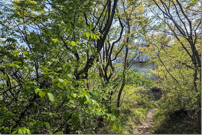 八幡岳展望所から八幡岳山頂へ向かう｜山道