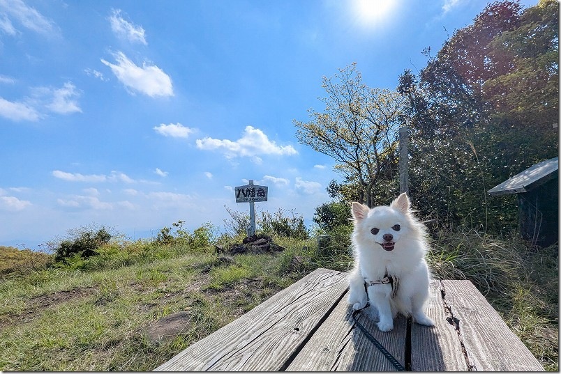 八幡岳山頂 764m｜犬連れで登山