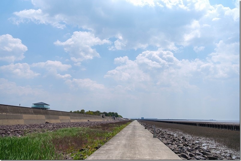 5月の干潟よか公園を散策