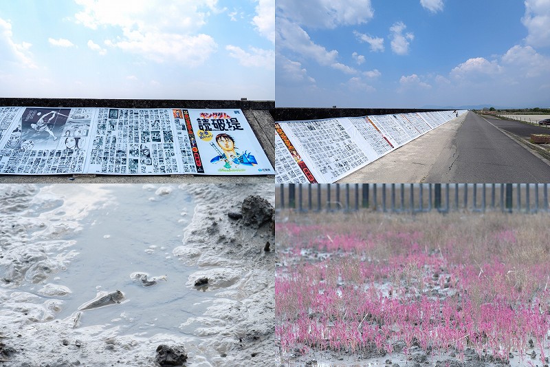キングダム読破堤は圧巻の340m！9/30まで期間延長｜GWの混雑状況や干潟の生き物・春のシチメンソウを紹介