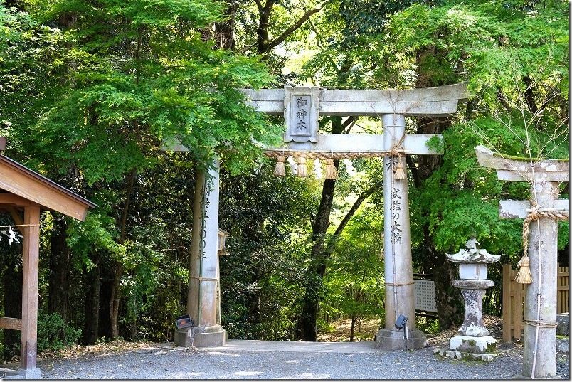 本殿から続く竹林ともみじの参道・入口の鳥居