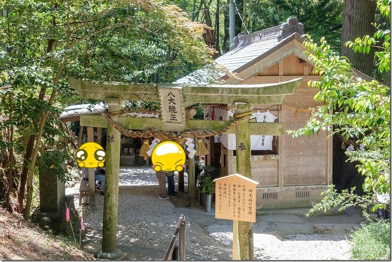 神龍八大龍王神社の本殿 神龍八大龍王神社の本殿