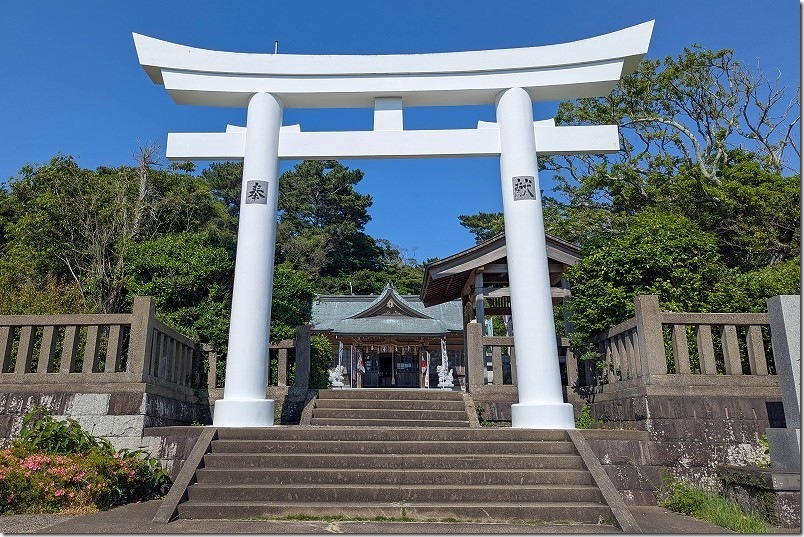 壱岐神社の本殿・鳥居