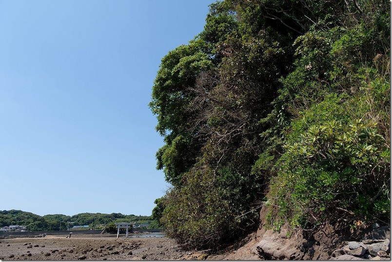 壱岐・小島神社の本殿に参拝するには、島の横の岩場を通る
