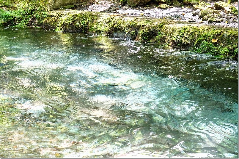 男池湧水近くの川|ほのかにブルーがかったクリスタルの水 男池湧水近くの川|ほのかにブルーがかったクリスタルの水