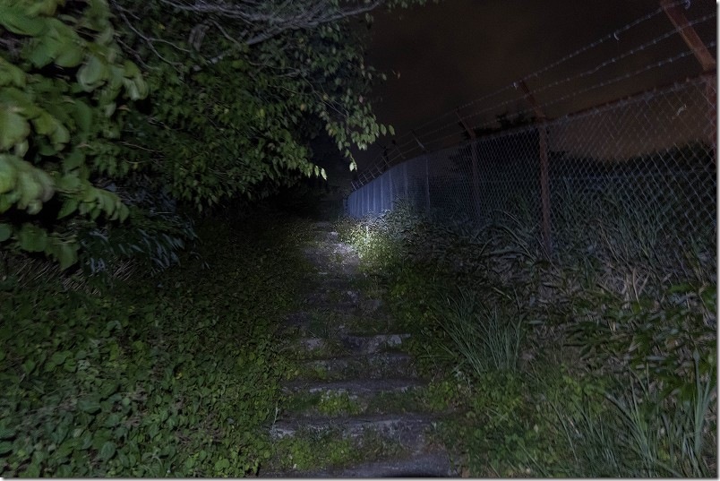 夜の脊振山山頂へ登る道 夜の脊振山山頂へ登る道