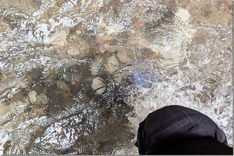 由布川峡谷の水流や深さ｜降り口付近
