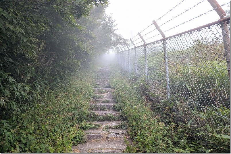 駐車場から脊振山頂までの道 駐車場から脊振山頂までの道