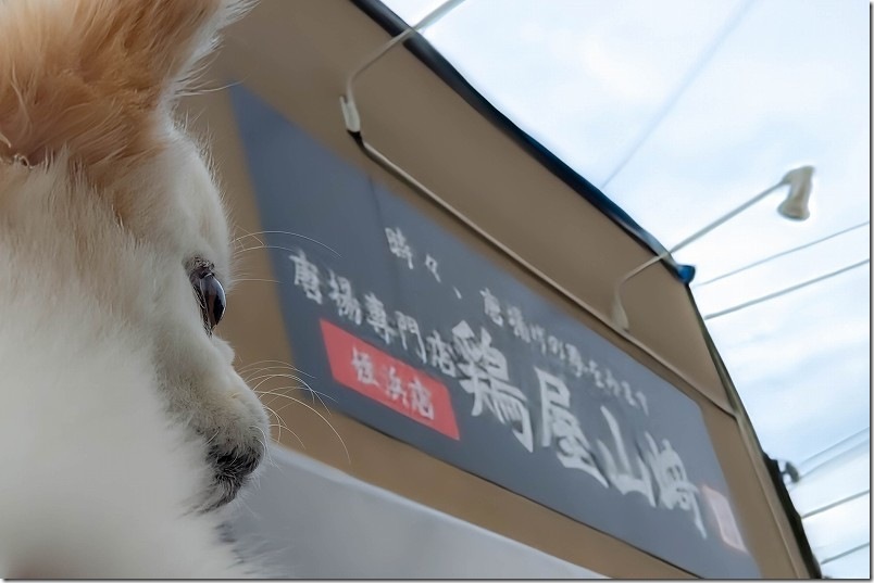 福岡市西区姪浜にある唐揚専門店 鶏屋山﨑 姪浜店|「時々、唐揚げの夢をみます」の看板と犬 福岡市西区姪浜にある唐揚専門店 鶏屋山﨑 姪浜店|「時々、唐揚げの夢をみます」の看板と犬