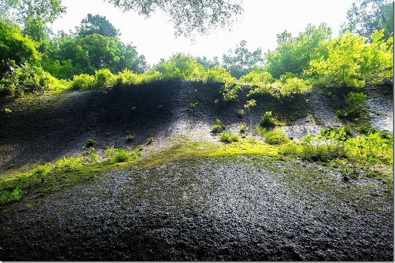 由布川峡谷の崖に降り水滴と苔むす壁