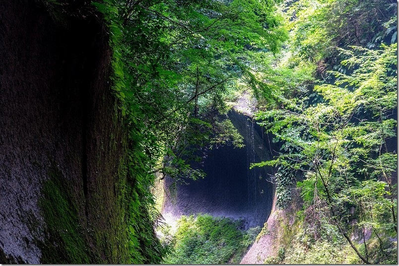 由布川峡谷の写真｜上流で行けるとこまで行った結果（膝上程度までで）