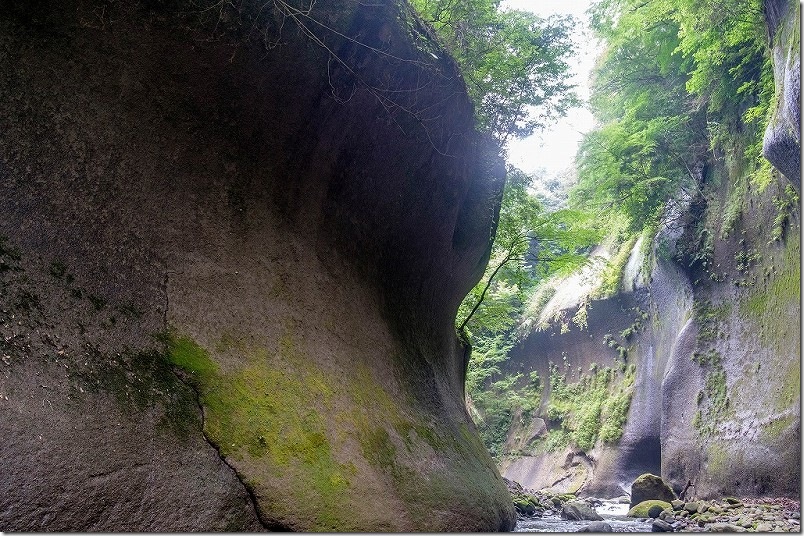 由布川峡谷の写真｜上流で行けるとこまで行った結果（膝上程度までで）