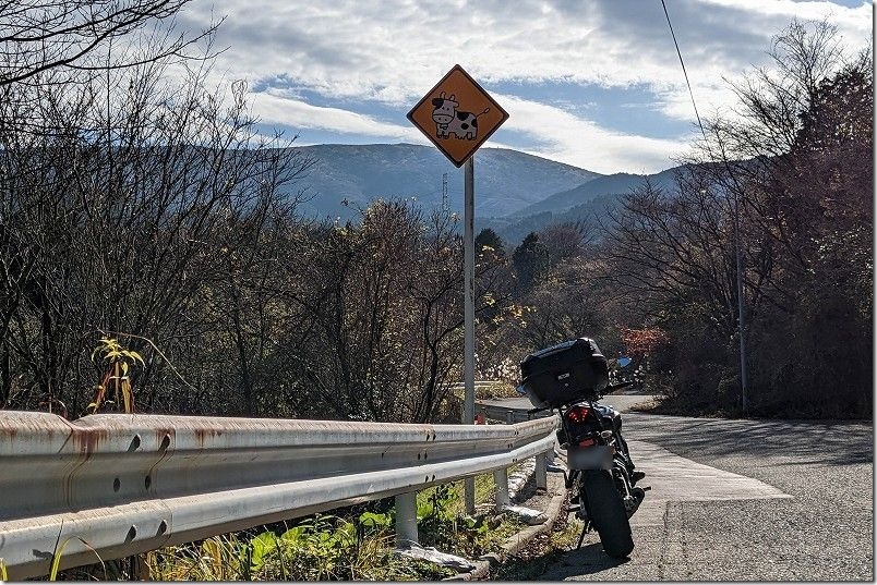 バイクで古湯方面から天山へ|牛の看板 バイクで古湯方面から天山へ|牛の看板