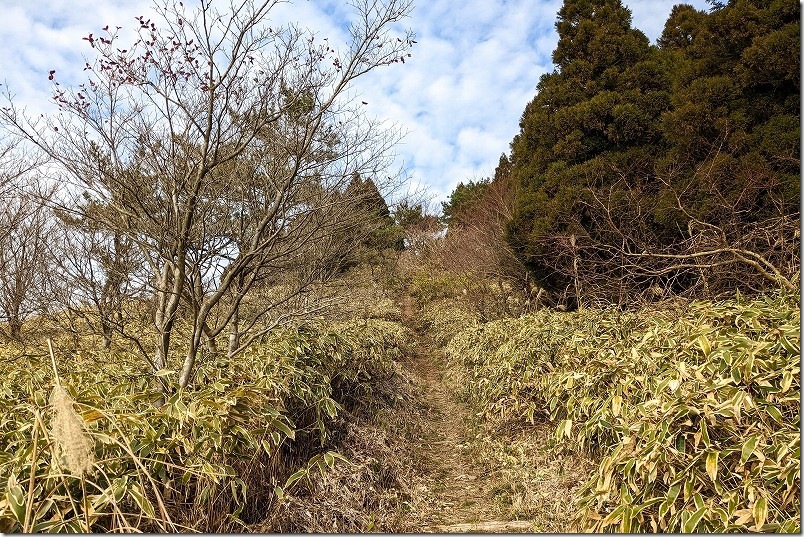 雨山山頂へ急勾配を一気に直登|雨山直登ルート・7分登山時点 雨山山頂へ急勾配を一気に直登|雨山直登ルート・7分登山時点