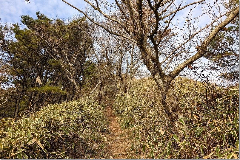 雨山山頂へ急勾配を一気に直登|雨山直登ルート・12分登山時点 雨山山頂へ急勾配を一気に直登|雨山直登ルート・12分登山時点