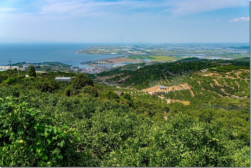 熊本市西区河内町の高台から見たみかん畑と海の絶景