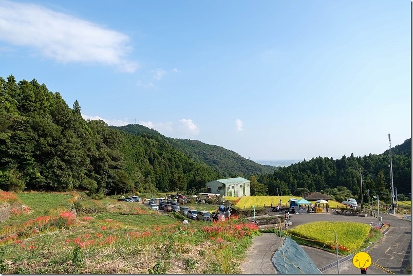 江里山の棚田の彼岸花の混み具合・駐車場