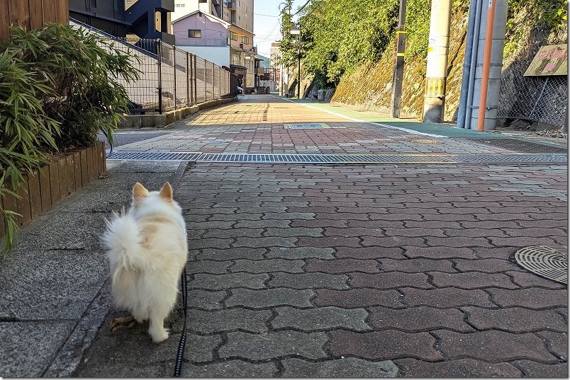 小浜温泉の路地を炭酸泉へ進む! 小浜温泉の路地を炭酸泉へ進む!