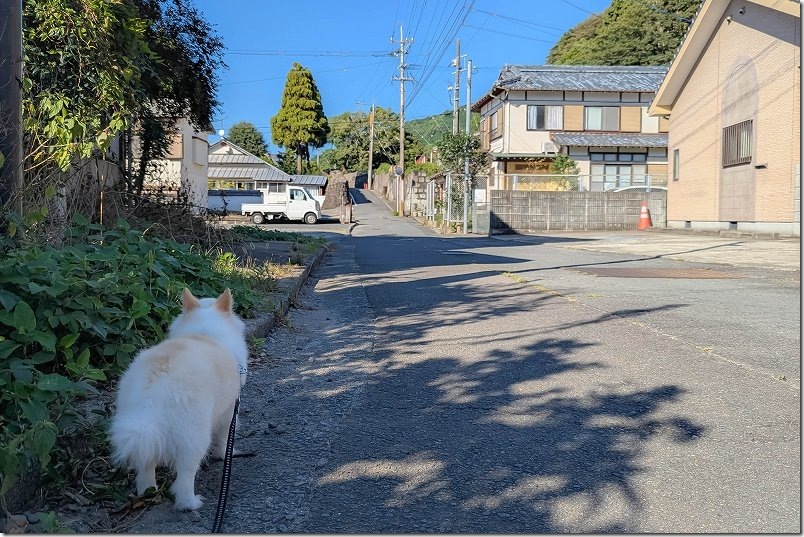 上の川通りを通って湧水へ|犬と一緒に長崎・小浜温泉を散策 上の川通りを通って湧水へ|犬と一緒に長崎・小浜温泉を散策