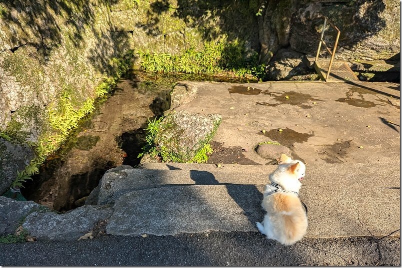上の川湧水に到着|水が湧き出てる場所(長崎・小浜温泉) 上の川湧水に到着|水が湧き出てる場所(長崎・小浜温泉)