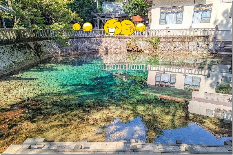 ターコイズブルーの湧水地|美祢の湧水 別府弁天池 ターコイズブルーの湧水地|美祢の湧水 別府弁天池
