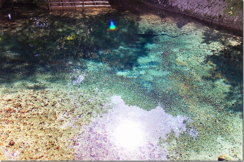 透き通った綺麗な湧水|美祢の湧水 別府弁天池 透き通った綺麗な湧水|美祢の湧水 別府弁天池