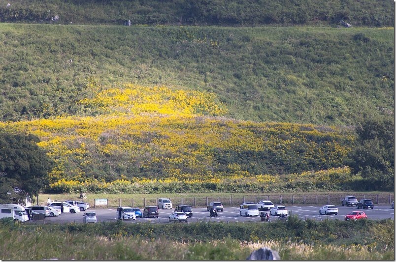 冠山へ向かう遊歩道から見た長者ヶ森駐車場｜秋吉台
