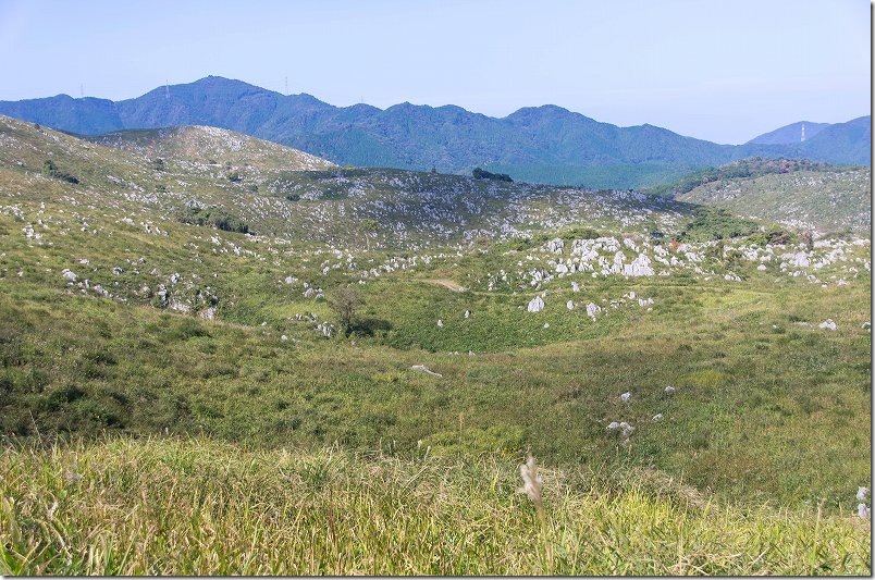秋吉台のカルスト台地らしい景観の中を冠山へ｜石灰石の群れ