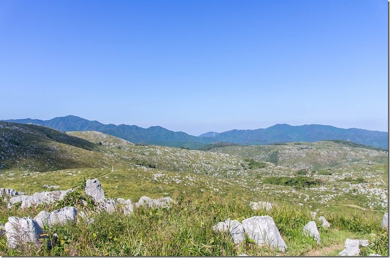 山口県美祢市にある日本最大のカルスト台地 秋吉台｜石灰石の羊の群れ
