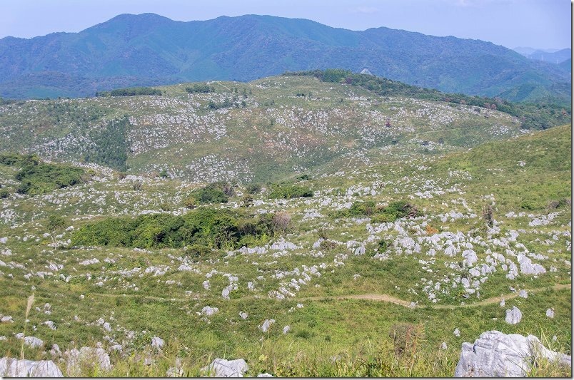 冠山山頂からの景観｜秋吉台らしい石灰石の群生